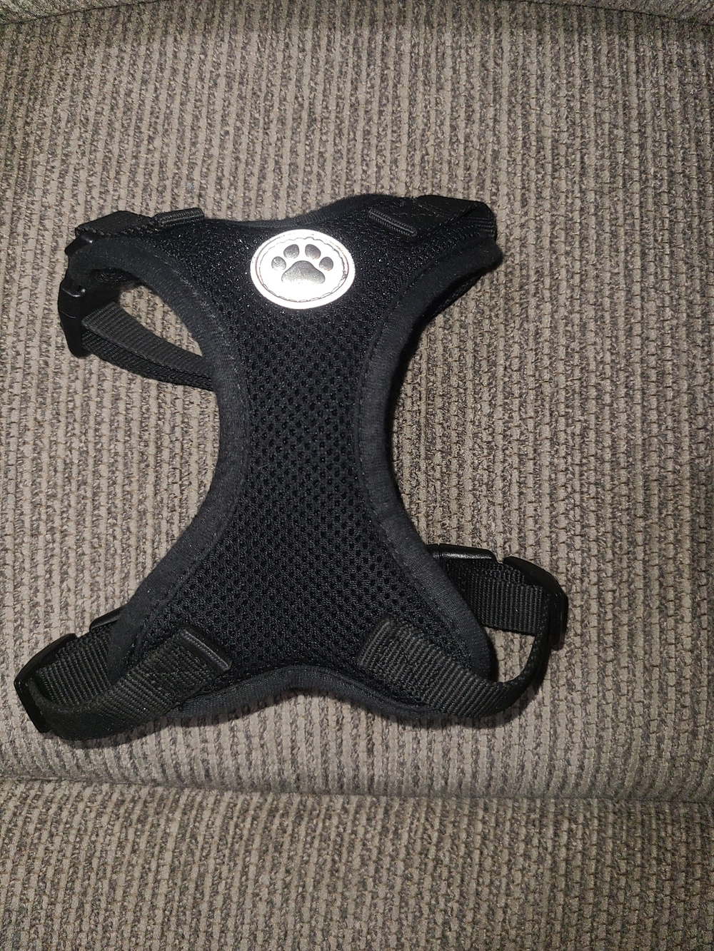 X-small Dog Items - Picture 3 of 16
